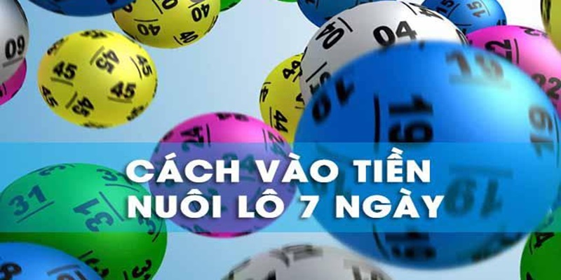 Chơi lô 7 ngày có nhiều cách vào tiền khác nhau