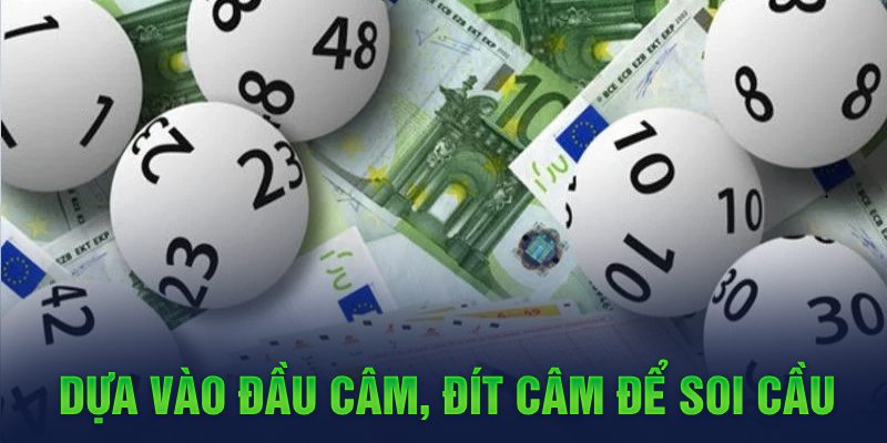 Dựa vào đầu câm, đít câm để soi cầu
